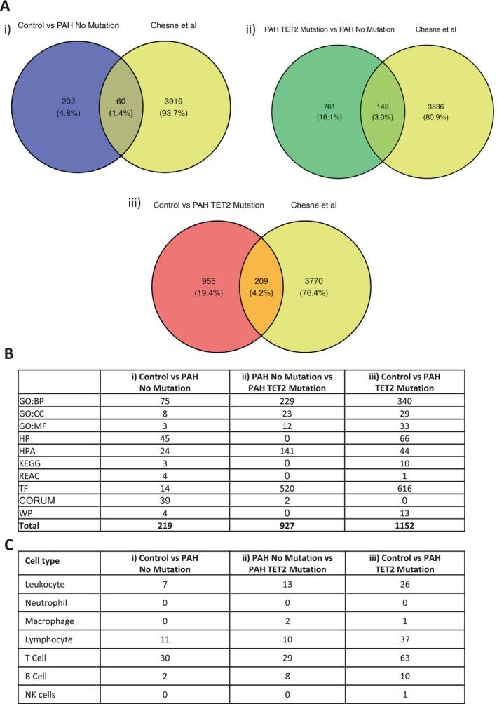 https://cdn.ncbi.nlm.nih.gov/pmc/blobs/dc46/12021535/53ba38c7ea8e/CPH4-15-e70011-g004.jpg