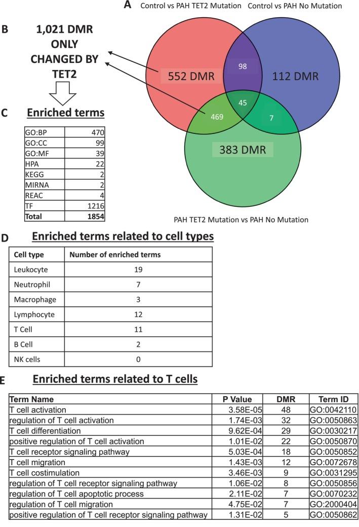 https://cdn.ncbi.nlm.nih.gov/pmc/blobs/dc46/12021535/a3e2f7c35e23/CPH4-15-e70011-g005.jpg