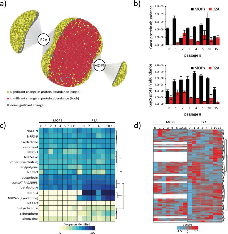 https://cdn.ncbi.nlm.nih.gov/pmc/blobs/dc46/8574000/19ab14f42545/12866_2021_2370_Fig3_HTML.jpg