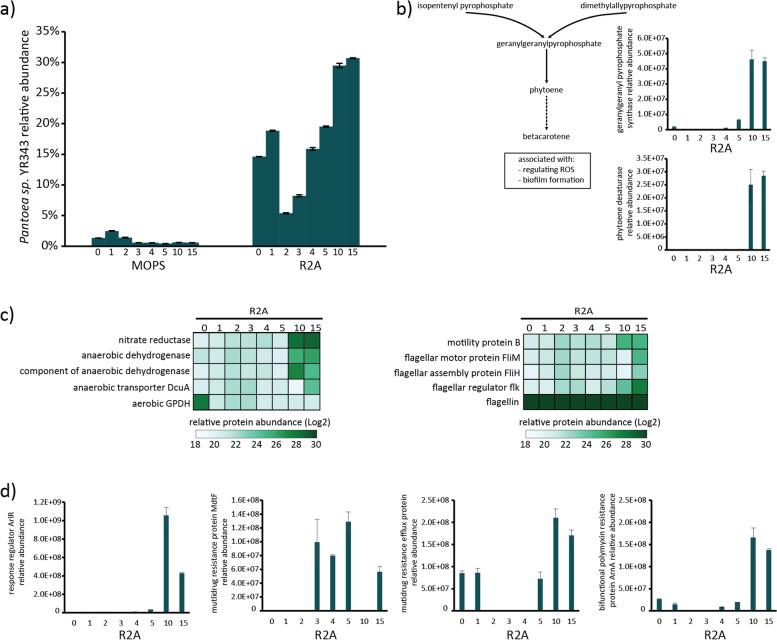https://cdn.ncbi.nlm.nih.gov/pmc/blobs/dc46/8574000/2bf9dca1797e/12866_2021_2370_Fig4_HTML.jpg