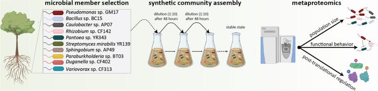 https://cdn.ncbi.nlm.nih.gov/pmc/blobs/dc46/8574000/44033e094e0e/12866_2021_2370_Fig1_HTML.jpg