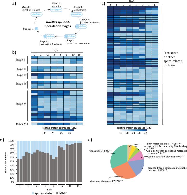 https://cdn.ncbi.nlm.nih.gov/pmc/blobs/dc46/8574000/6268bc591607/12866_2021_2370_Fig5_HTML.jpg