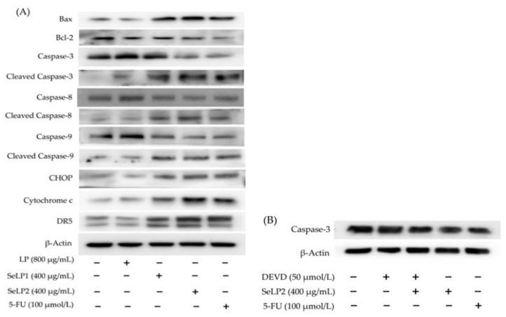 https://cdn.ncbi.nlm.nih.gov/pmc/blobs/dc46/9100046/331c74057c1a/nutrients-14-01710-g006.jpg