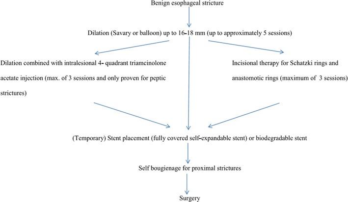 https://cdn.ncbi.nlm.nih.gov/pmc/blobs/dc47/4328110/806c6e931053/11938_2014_43_Fig3_HTML.jpg