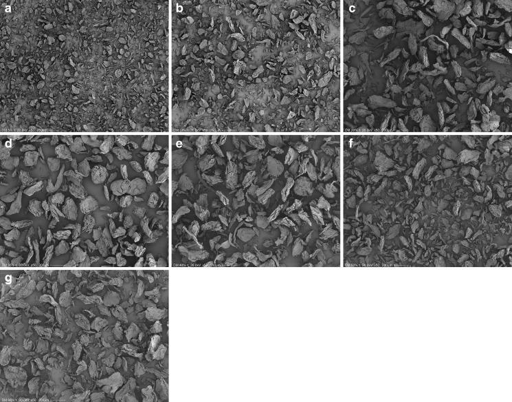 https://cdn.ncbi.nlm.nih.gov/pmc/blobs/dc49/2850496/a8e6f98b5c71/12249_2009_9349_Fig1_HTML.jpg
