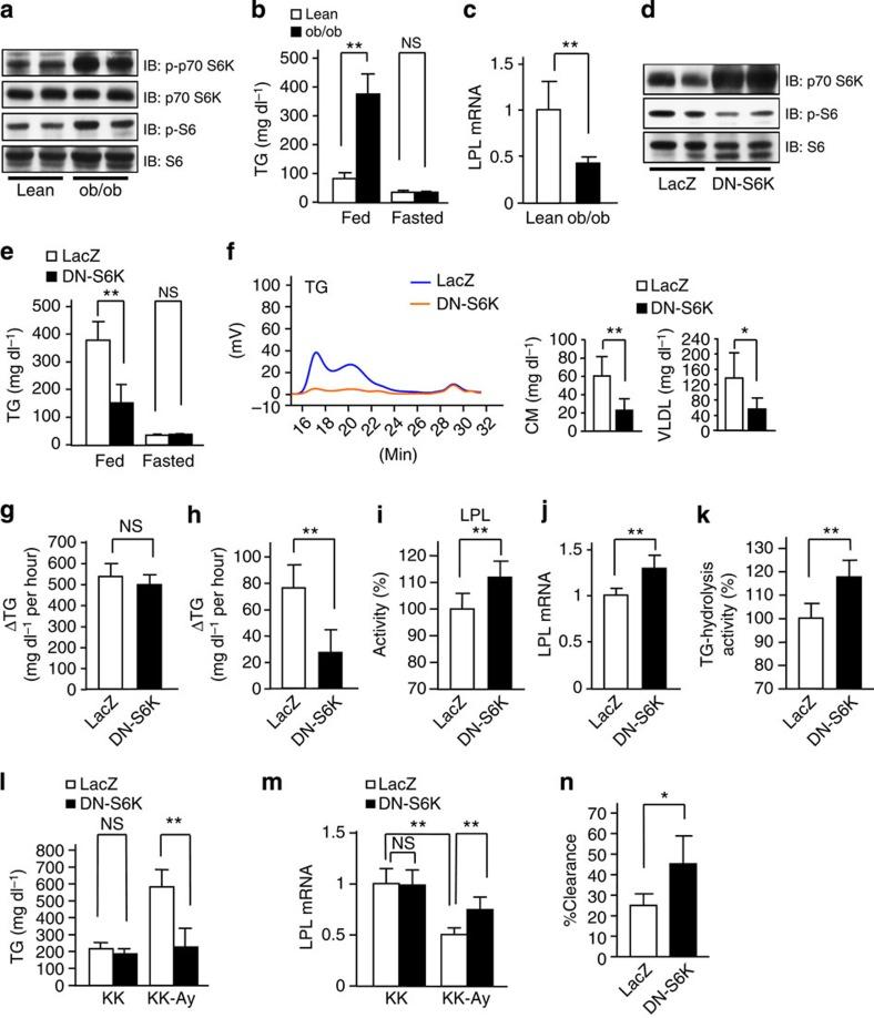 https://cdn.ncbi.nlm.nih.gov/pmc/blobs/dc4a/4557134/b3eac680416b/ncomms8940-f7.jpg
