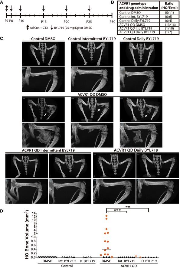 https://cdn.ncbi.nlm.nih.gov/pmc/blobs/dc4a/6728602/1a02b050fda2/EMMM-11-e10567-g006.jpg