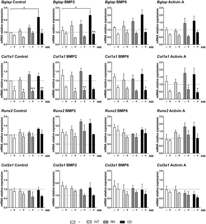 https://cdn.ncbi.nlm.nih.gov/pmc/blobs/dc4a/6728602/4b53e703deb1/EMMM-11-e10567-g005.jpg