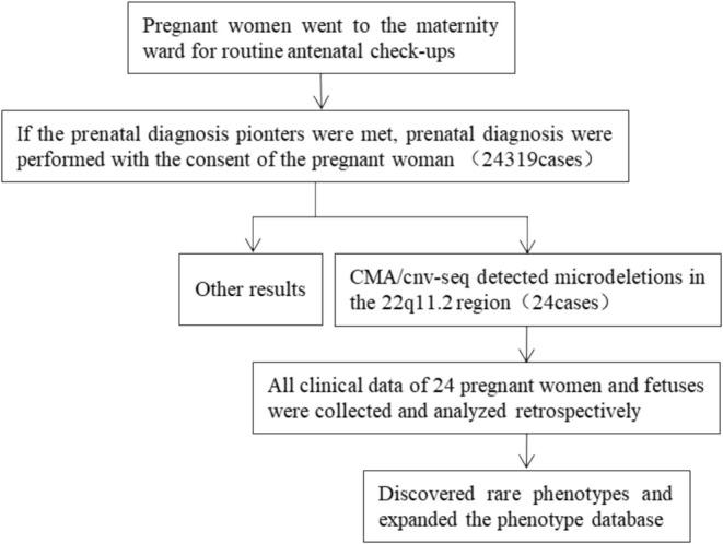 https://cdn.ncbi.nlm.nih.gov/pmc/blobs/dc4e/12144570/1f0a042de80f/JCLA-39-e70045-g001.jpg