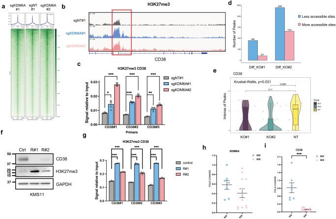 https://cdn.ncbi.nlm.nih.gov/pmc/blobs/dc50/10866908/2fedafda5cfe/41467_2024_45561_Fig3_HTML.jpg