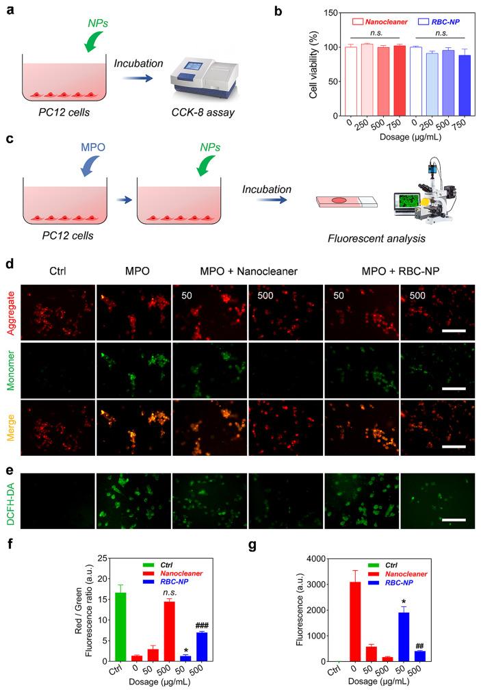 https://cdn.ncbi.nlm.nih.gov/pmc/blobs/dc54/11440912/5e8b8b270b17/12951_2024_2869_Fig6_HTML.jpg