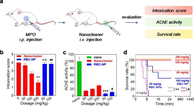 https://cdn.ncbi.nlm.nih.gov/pmc/blobs/dc54/11440912/cba2303c717d/12951_2024_2869_Fig7_HTML.jpg