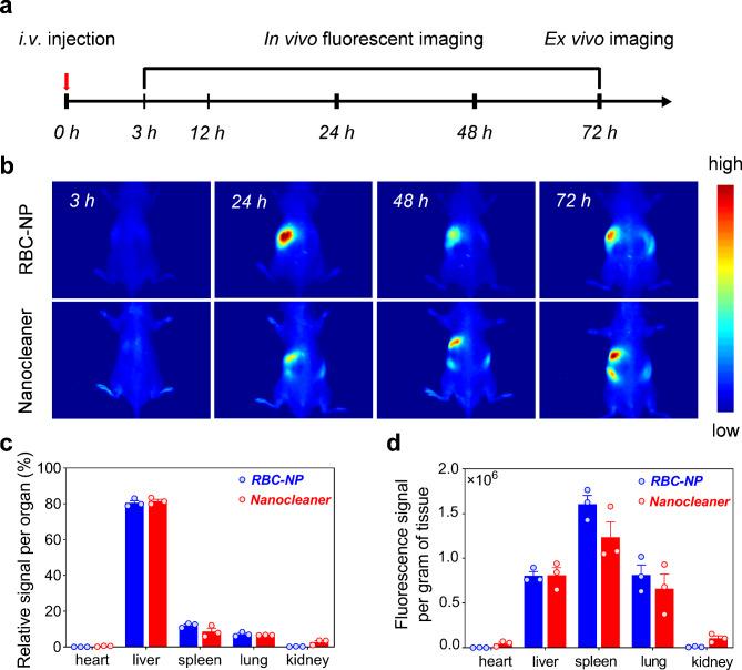 https://cdn.ncbi.nlm.nih.gov/pmc/blobs/dc54/11440912/f5c1b834d4d0/12951_2024_2869_Fig8_HTML.jpg