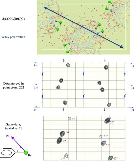 https://cdn.ncbi.nlm.nih.gov/pmc/blobs/dc57/2852309/9d9e819f7873/d-66-00447-fig10.jpg