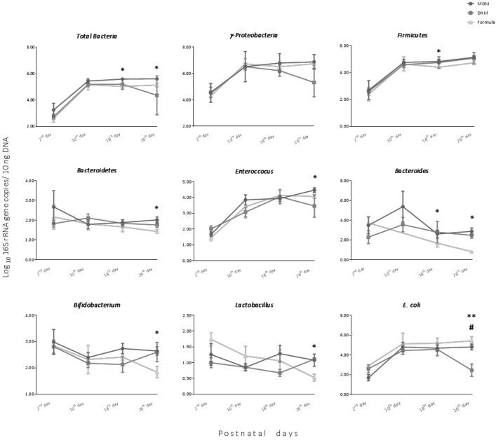 https://cdn.ncbi.nlm.nih.gov/pmc/blobs/dc5a/8148101/b12b7f876ad3/nutrients-13-01564-g001.jpg