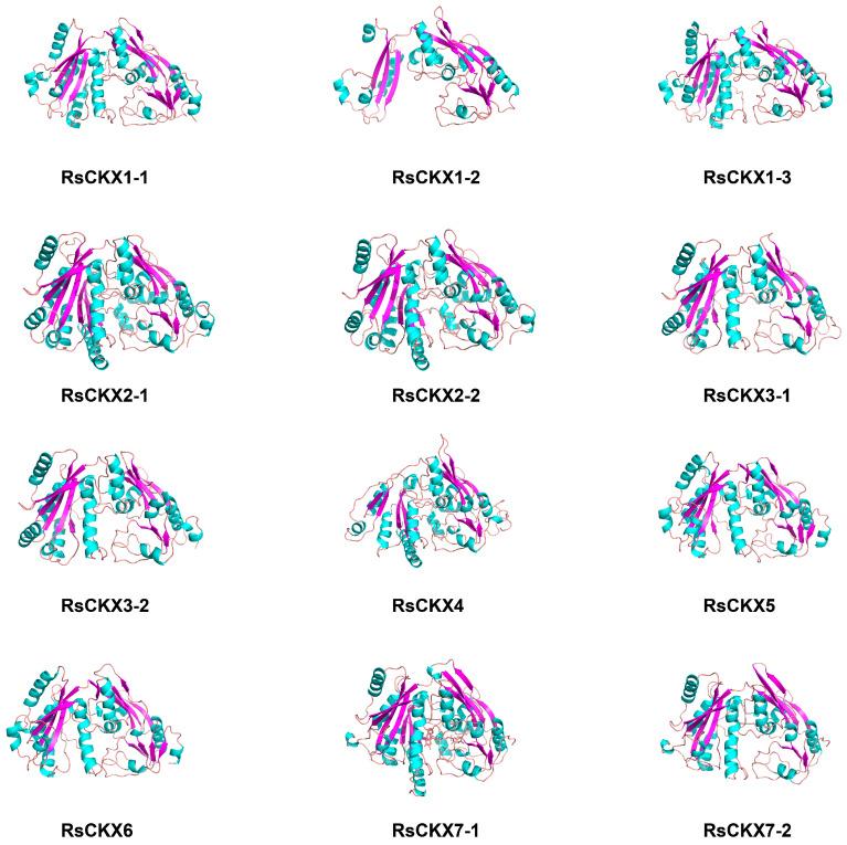 https://cdn.ncbi.nlm.nih.gov/pmc/blobs/dc5c/11354997/1fd74f117c2c/ijms-25-08974-g011.jpg