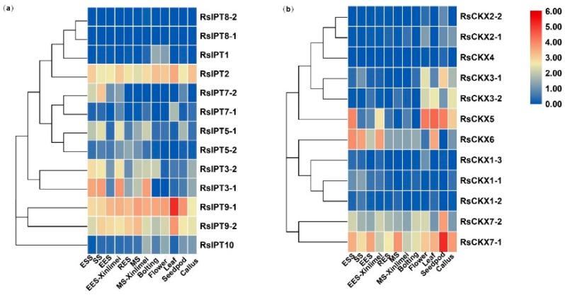 https://cdn.ncbi.nlm.nih.gov/pmc/blobs/dc5c/11354997/42f2cee77822/ijms-25-08974-g008.jpg