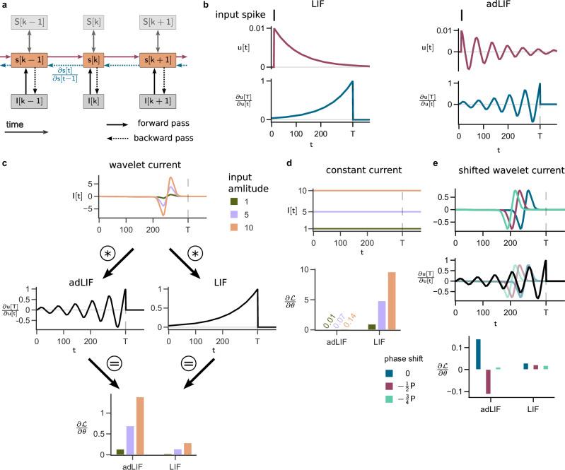 https://cdn.ncbi.nlm.nih.gov/pmc/blobs/dc5c/12218304/7071ef89cd5c/41467_2025_60878_Fig5_HTML.jpg