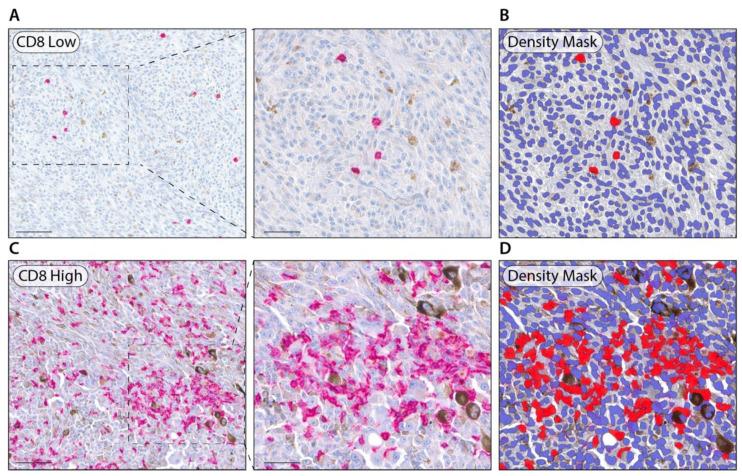https://cdn.ncbi.nlm.nih.gov/pmc/blobs/dc5c/9740732/e2e5badad700/cancers-14-05959-g002.jpg