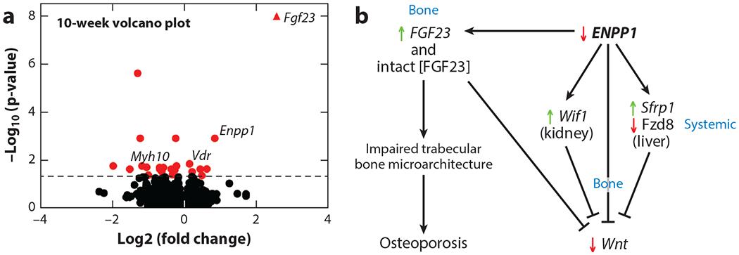 https://cdn.ncbi.nlm.nih.gov/pmc/blobs/dc5d/11062289/d261027b2225/nihms-1984512-f0005.jpg