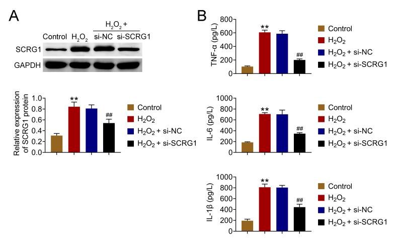 https://cdn.ncbi.nlm.nih.gov/pmc/blobs/dc5e/11934739/3555f2b03c07/fig2.jpg