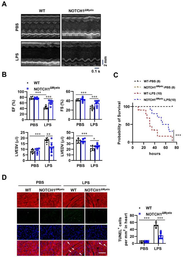 https://cdn.ncbi.nlm.nih.gov/pmc/blobs/dc60/12105122/16c4ad21fd0e/13062_2025_657_Fig2_HTML.jpg
