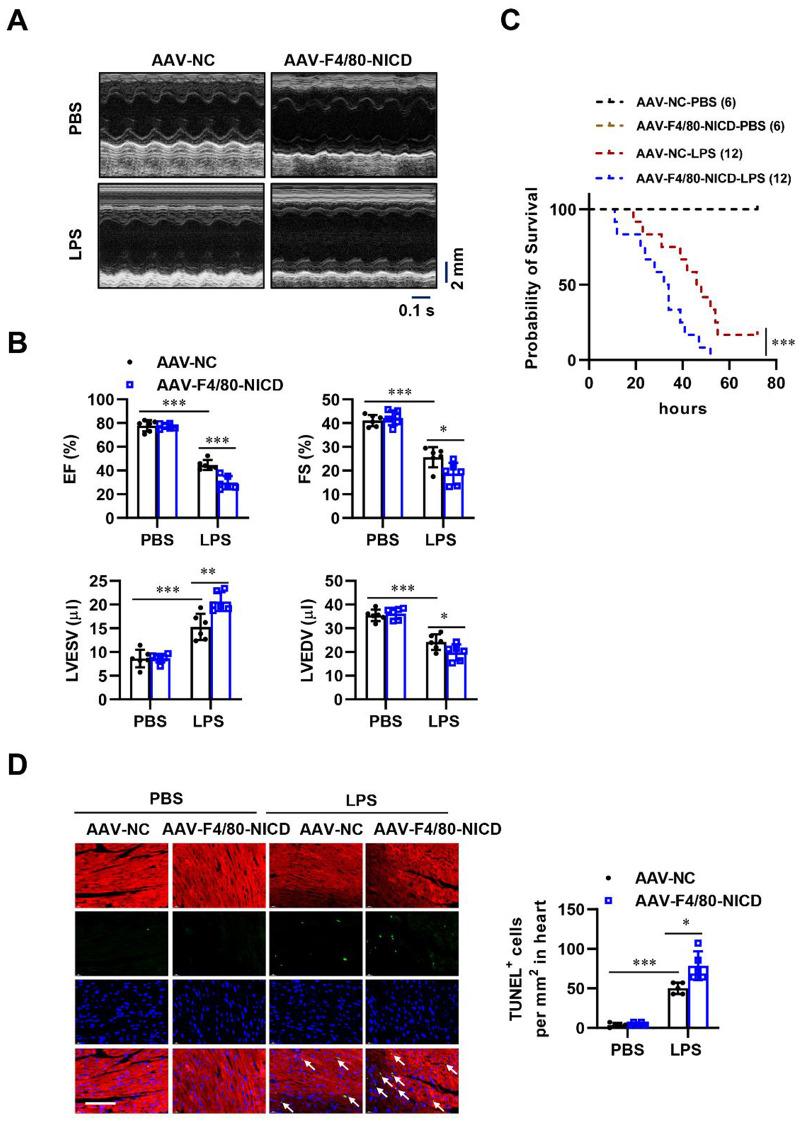 https://cdn.ncbi.nlm.nih.gov/pmc/blobs/dc60/12105122/512305926d65/13062_2025_657_Fig3_HTML.jpg