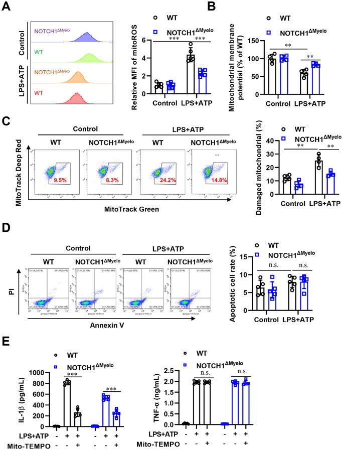 https://cdn.ncbi.nlm.nih.gov/pmc/blobs/dc60/12105122/794128368f38/13062_2025_657_Fig4_HTML.jpg