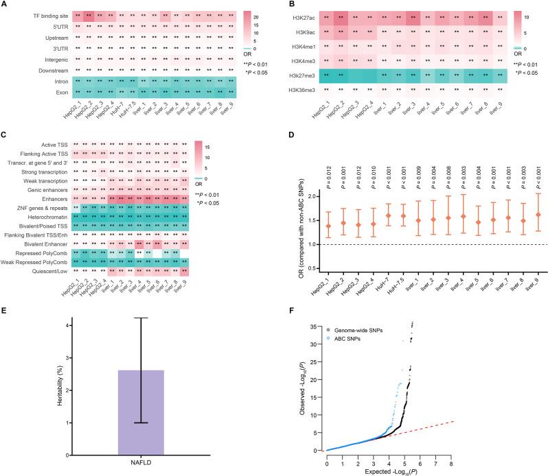 https://cdn.ncbi.nlm.nih.gov/pmc/blobs/dc61/12082939/d63e7055b165/12864_2025_11668_Fig3_HTML.jpg