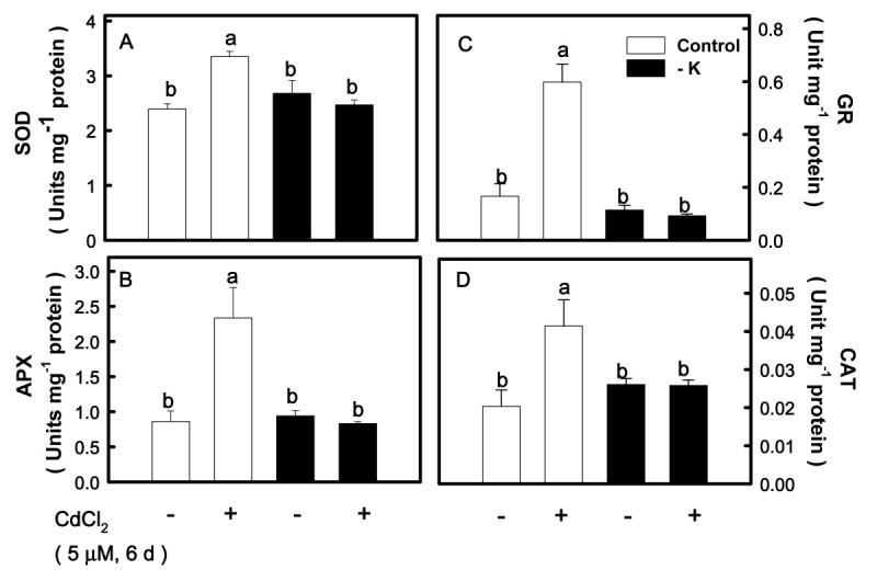 https://cdn.ncbi.nlm.nih.gov/pmc/blobs/dc61/5383923/29275e85797a/40529_2013_Article_1_Fig5_HTML.jpg