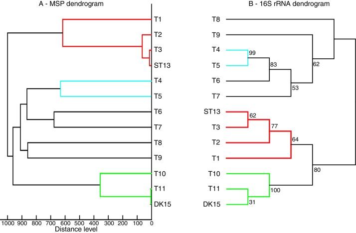 https://cdn.ncbi.nlm.nih.gov/pmc/blobs/dc62/6175699/dcbee06b9ca6/gr3.jpg
