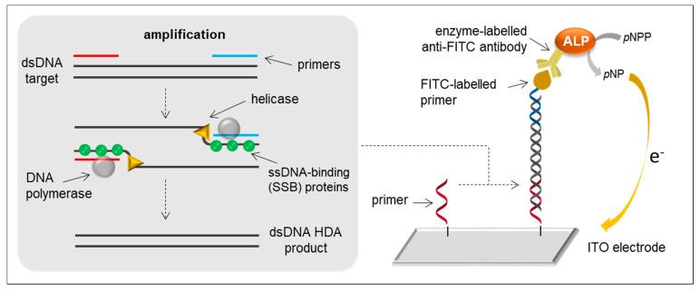 https://cdn.ncbi.nlm.nih.gov/pmc/blobs/dc62/7831002/3f2c9b36c242/sensors-21-00602-g004.jpg