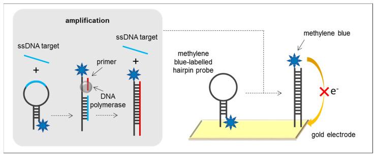 https://cdn.ncbi.nlm.nih.gov/pmc/blobs/dc62/7831002/751ba395c283/sensors-21-00602-g006.jpg