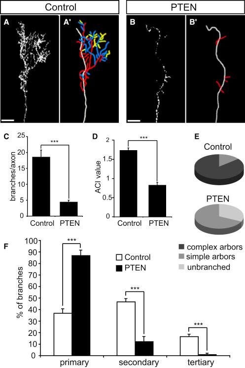 https://cdn.ncbi.nlm.nih.gov/pmc/blobs/dc63/2862300/ea9b326e7237/gr6.jpg