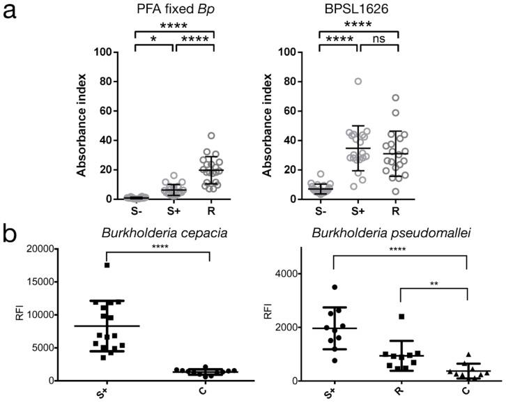 https://cdn.ncbi.nlm.nih.gov/pmc/blobs/dc64/6640674/bc71b1cb84c7/antibodies-07-00026-g003.jpg