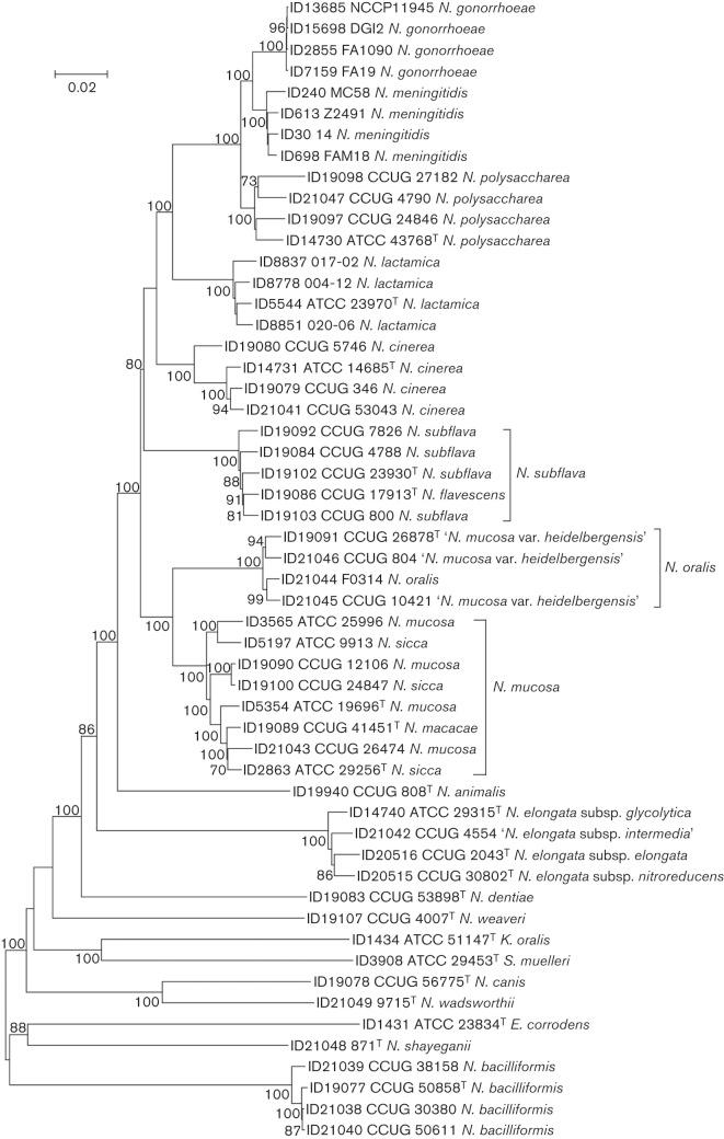 https://cdn.ncbi.nlm.nih.gov/pmc/blobs/dc69/3799226/4e84fdcd155a/052431-f1.jpg