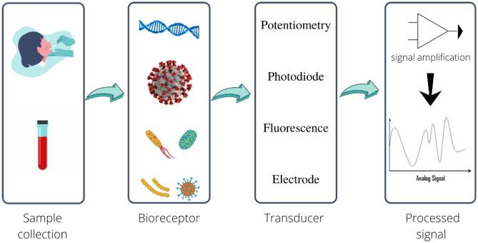 https://cdn.ncbi.nlm.nih.gov/pmc/blobs/dc6c/8898601/33f09d4feb15/12553_2022_650_Fig10_HTML.jpg