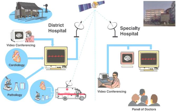 https://cdn.ncbi.nlm.nih.gov/pmc/blobs/dc6c/8898601/b83329ded1af/12553_2022_650_Fig11_HTML.jpg