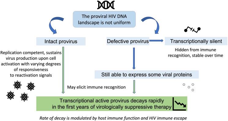 https://cdn.ncbi.nlm.nih.gov/pmc/blobs/dc6c/9617980/553fcc4f6f46/40121_2022_676_Fig1_HTML.jpg
