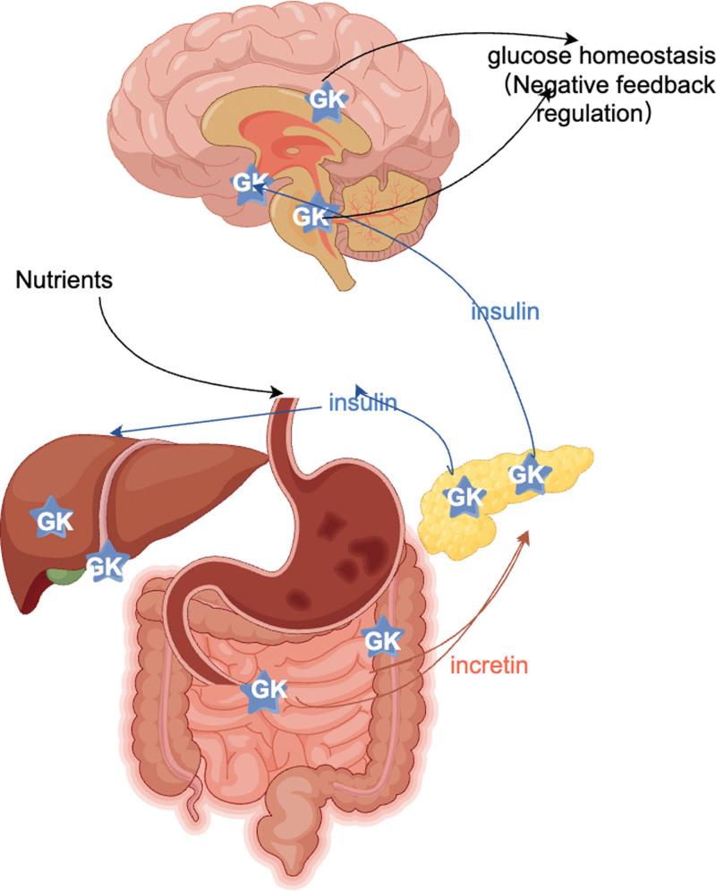 https://cdn.ncbi.nlm.nih.gov/pmc/blobs/dc6e/11309680/db7324a756a1/medi-103-e36916-g001.jpg