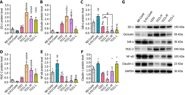https://cdn.ncbi.nlm.nih.gov/pmc/blobs/dc74/11514682/4dd8ee391a35/WJGO-16-4209-g004.jpg