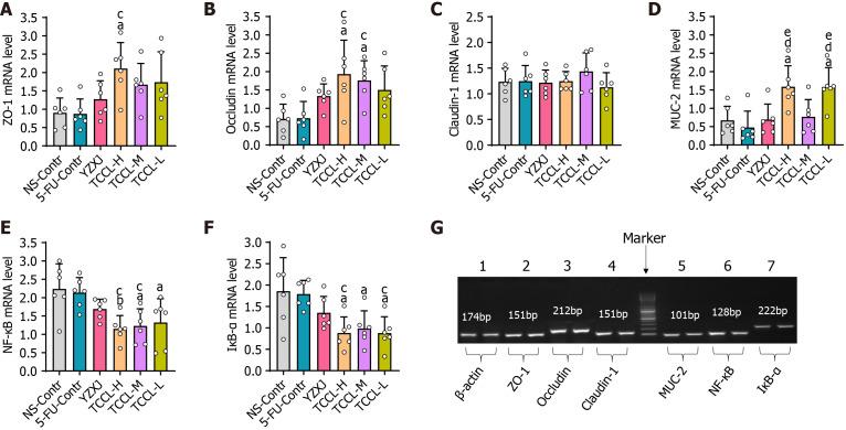 https://cdn.ncbi.nlm.nih.gov/pmc/blobs/dc74/11514682/c9e72dff4612/WJGO-16-4209-g006.jpg