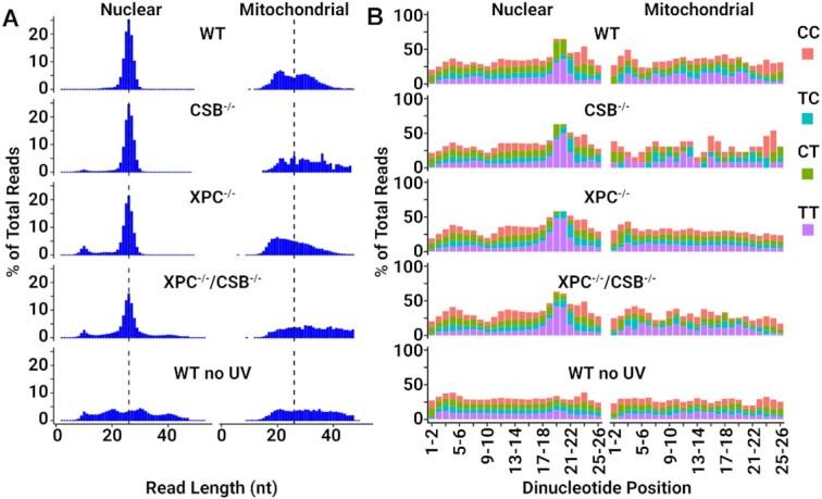 https://cdn.ncbi.nlm.nih.gov/pmc/blobs/dc76/10325923/d873586b1e8a/gkad334fig3.jpg