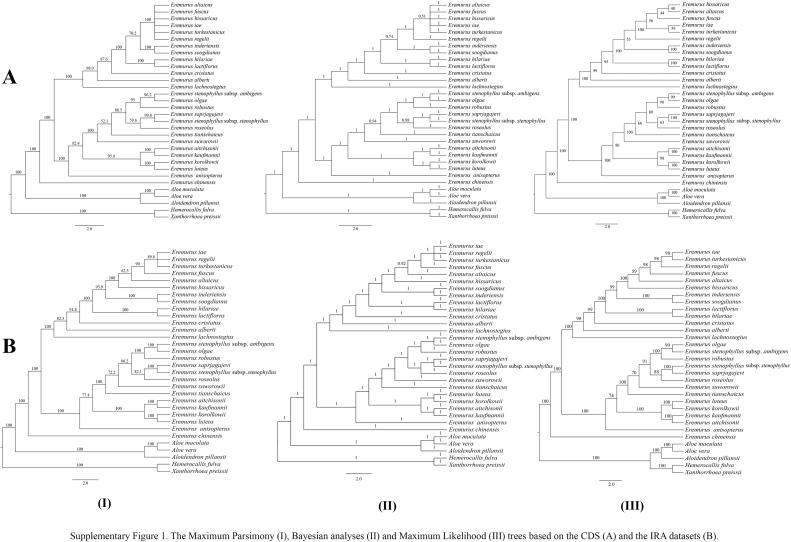 https://cdn.ncbi.nlm.nih.gov/pmc/blobs/dc76/11119512/e4f3fb6a47d3/figs1.jpg