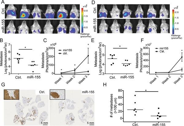 https://cdn.ncbi.nlm.nih.gov/pmc/blobs/dc77/4745722/20e9e1581ba7/oncotarget-06-29224-g002.jpg