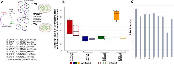 https://cdn.ncbi.nlm.nih.gov/pmc/blobs/dc77/9917435/2540a1f9bd45/elife-71235-fig5.jpg