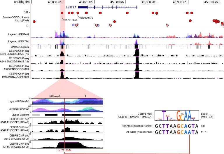 https://cdn.ncbi.nlm.nih.gov/pmc/blobs/dc77/9917435/653c4e726754/elife-71235-fig2-figsupp2.jpg