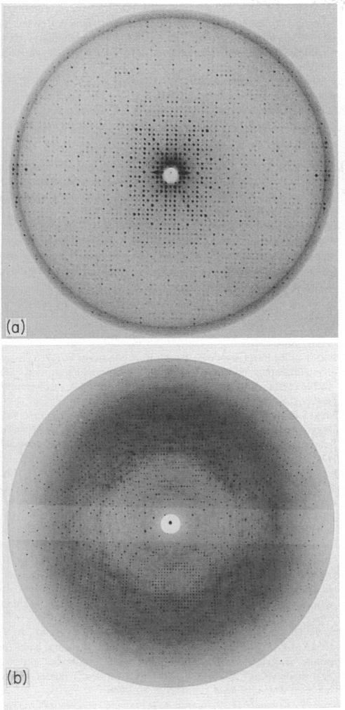 https://cdn.ncbi.nlm.nih.gov/pmc/blobs/dc7a/1454165/764e6c55705c/immunology00165-0012-a.jpg