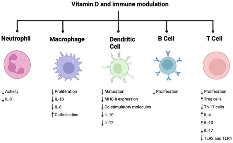 https://cdn.ncbi.nlm.nih.gov/pmc/blobs/dc7b/10537363/3c1d55938330/pathogens-12-01180-g003.jpg