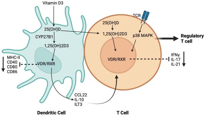 https://cdn.ncbi.nlm.nih.gov/pmc/blobs/dc7b/10537363/9872eeb45cb6/pathogens-12-01180-g002.jpg